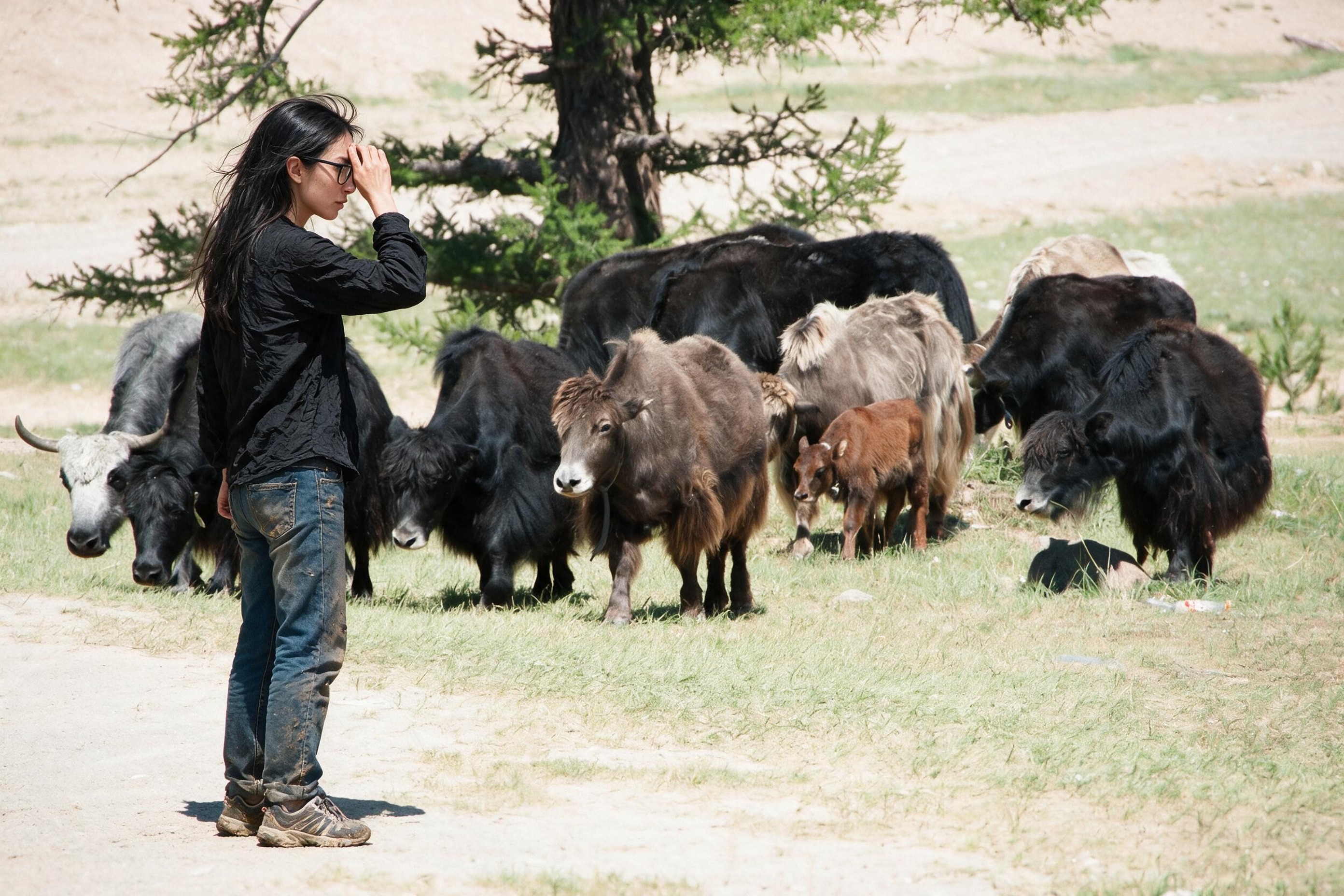Me watching yaks drink at a river ford, hand shielding my eyes.